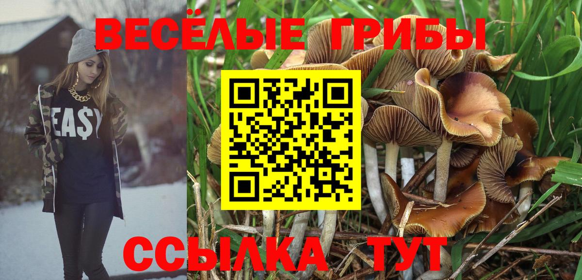 Псилоцибиновые грибы MAGIC MUSHROOMS Мценск